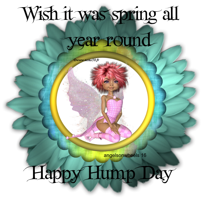 Wish it could be Spring all year round Happy Hump Day